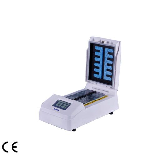 ISH-12-01 In Situ Hybridization