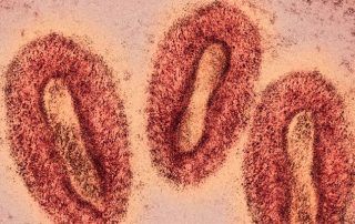 Monkeypox virus