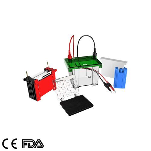 Mini tanque de electroforesis de transferencia, GEP-TH-ZY02