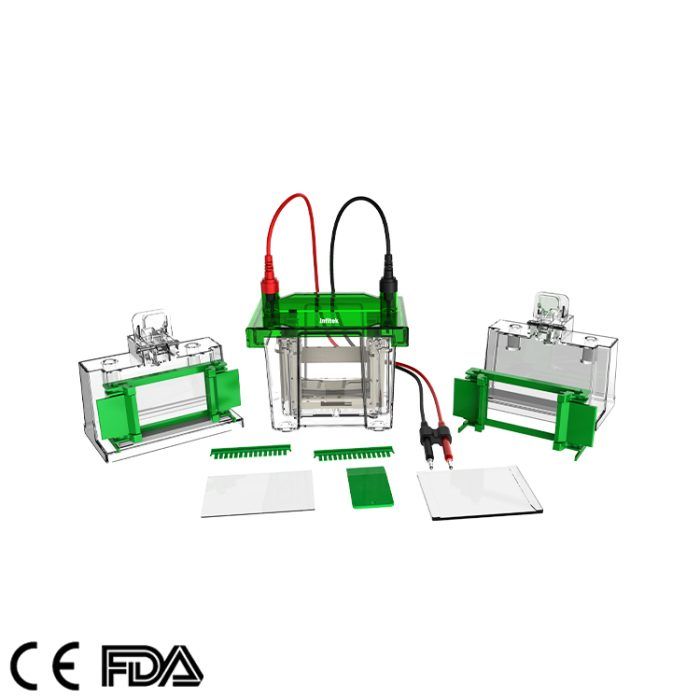 Mini tanque de electroforesis vertical, GEP-VH-1