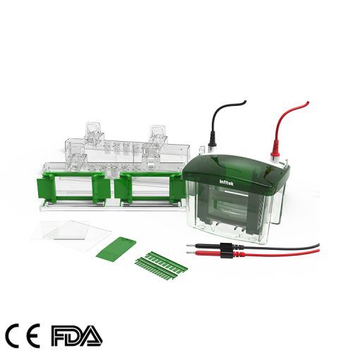 Mini tanque de electroforesis vertical, GEP-VH-4
