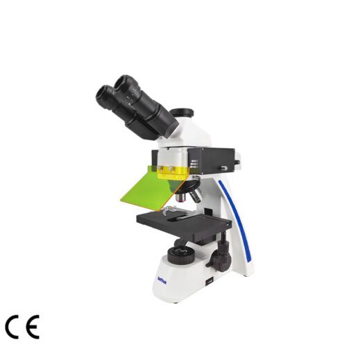 Fluorescence Microscope, MSC-F31